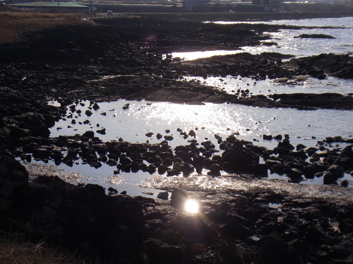 작례⭕️) Ricoh 리코 cx3 카메라 풀박스 🩷🖤//키키컨포📸 상품이미지8