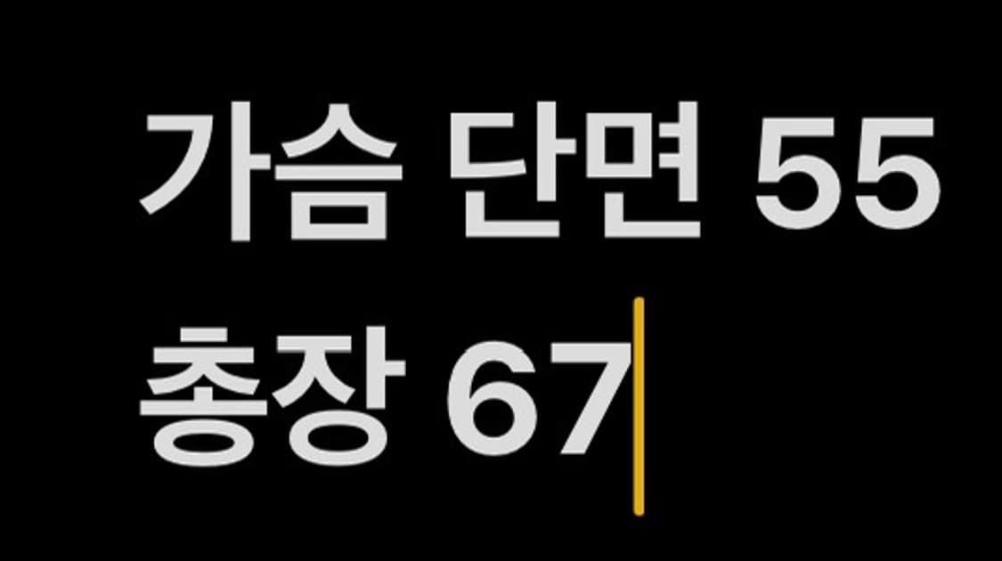 [ 정품/100 ] 아디다스 첼시 바람막이 자켓 b16 상품이미지10