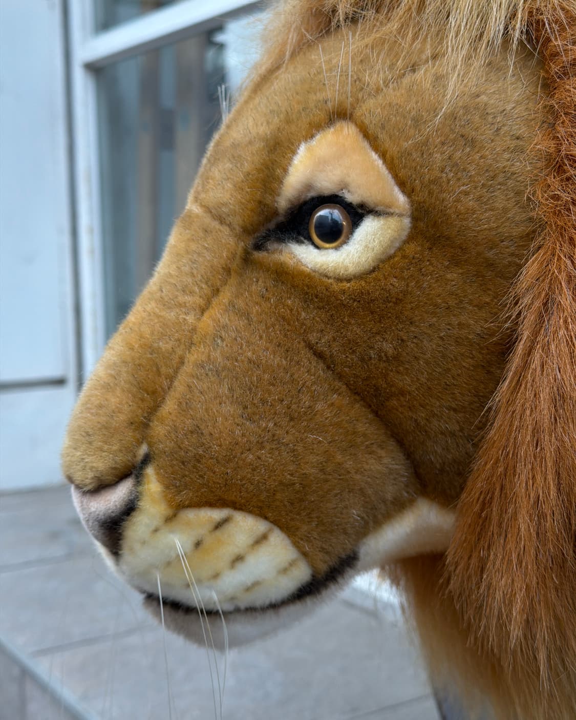 빈티지 소품 한사토이 Lion Head 헌팅트로피 상품이미지5