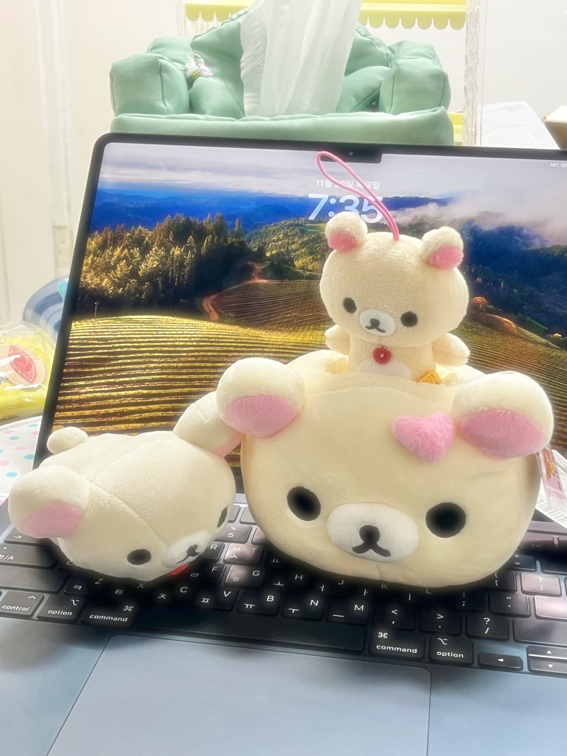 2012 코리락쿠마 홀더 상품이미지1