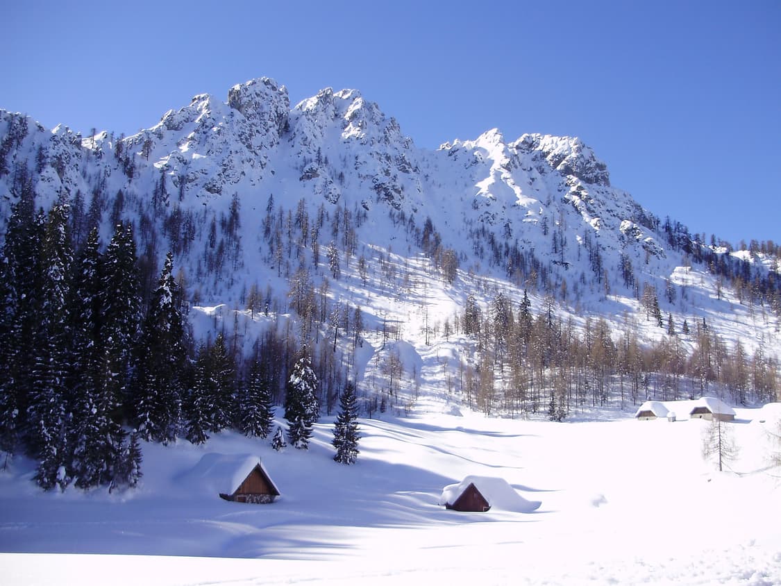 작례O 초소형 감성 올림푸스 fe-310 디지털카메라 빈티지 디카 상품이미지3