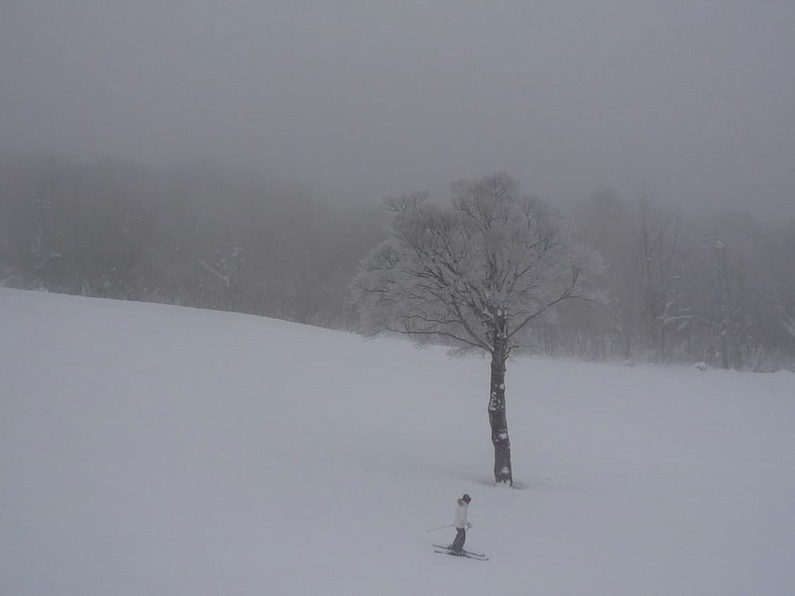 (라이카 렌즈✨) 파나소닉 루믹스 DMC-FX500 디카 디지털카메라 상품이미지8