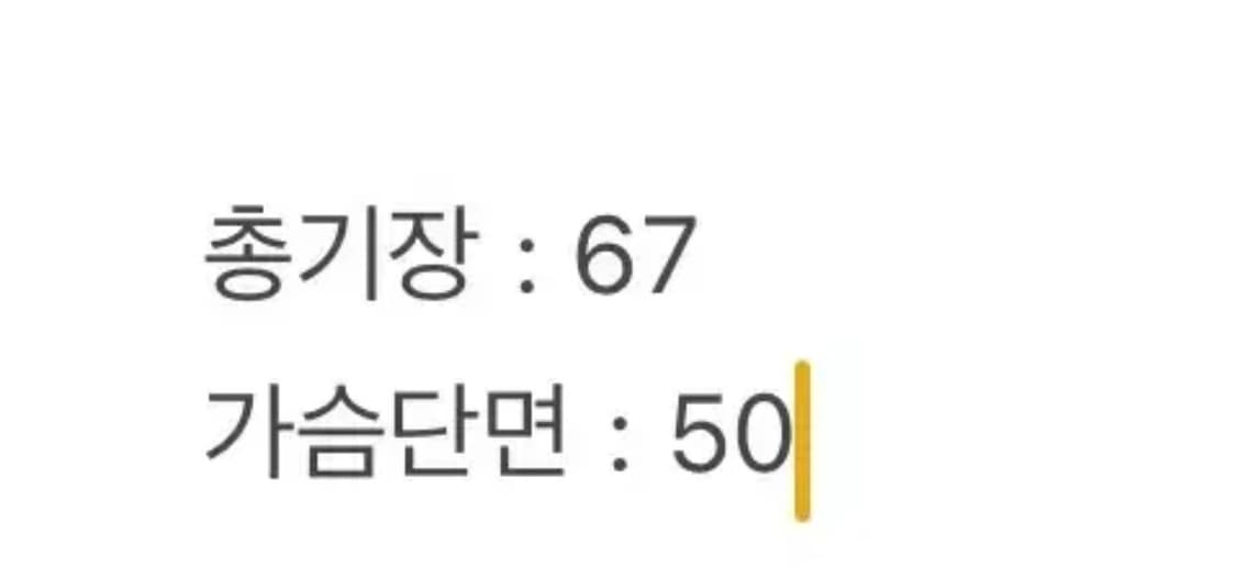 아디다스 독일 월드컵 져지 상품이미지4