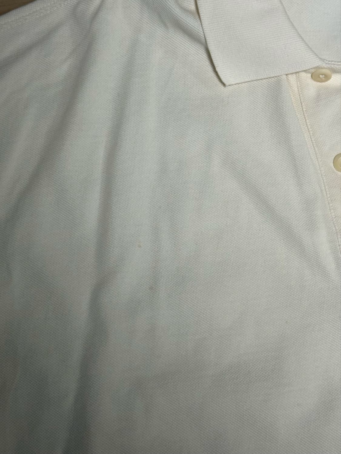 아미 폴로티 L Size 상품이미지3