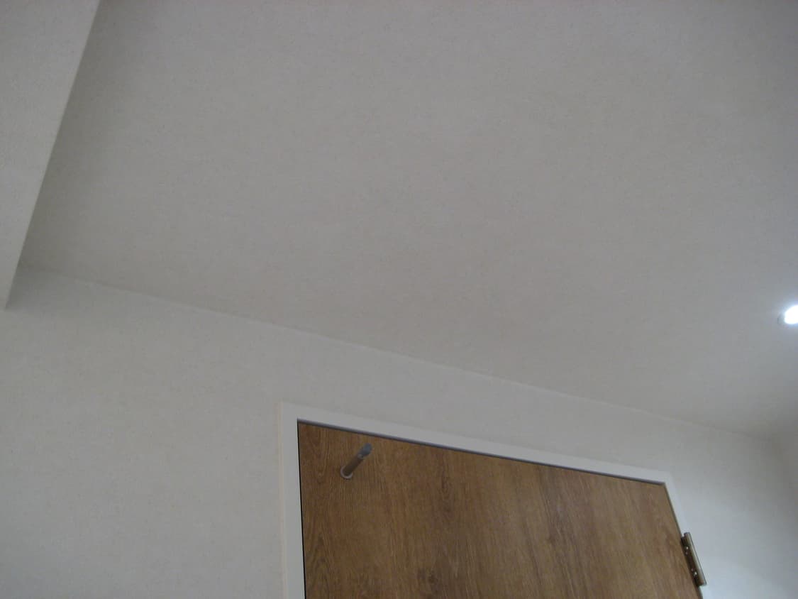 캐논 익시 디지털 10(익서스 70 일본 내수 모델) 실버 상품이미지9