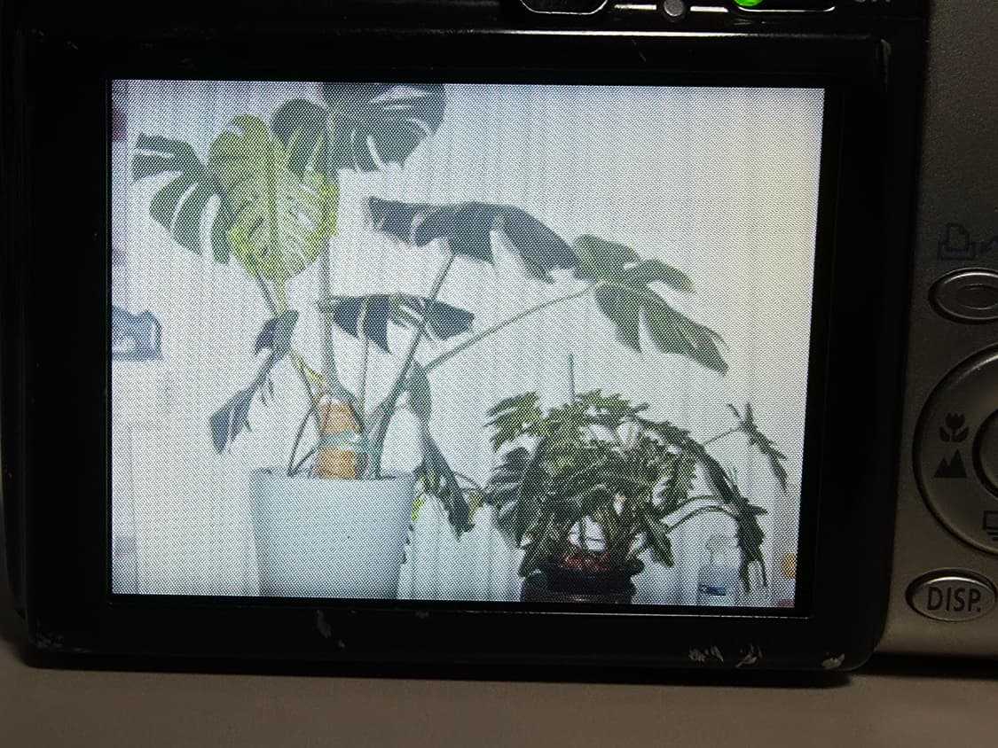 캐논 익서스 800IS 빈티지 디지털카메라 상품이미지7