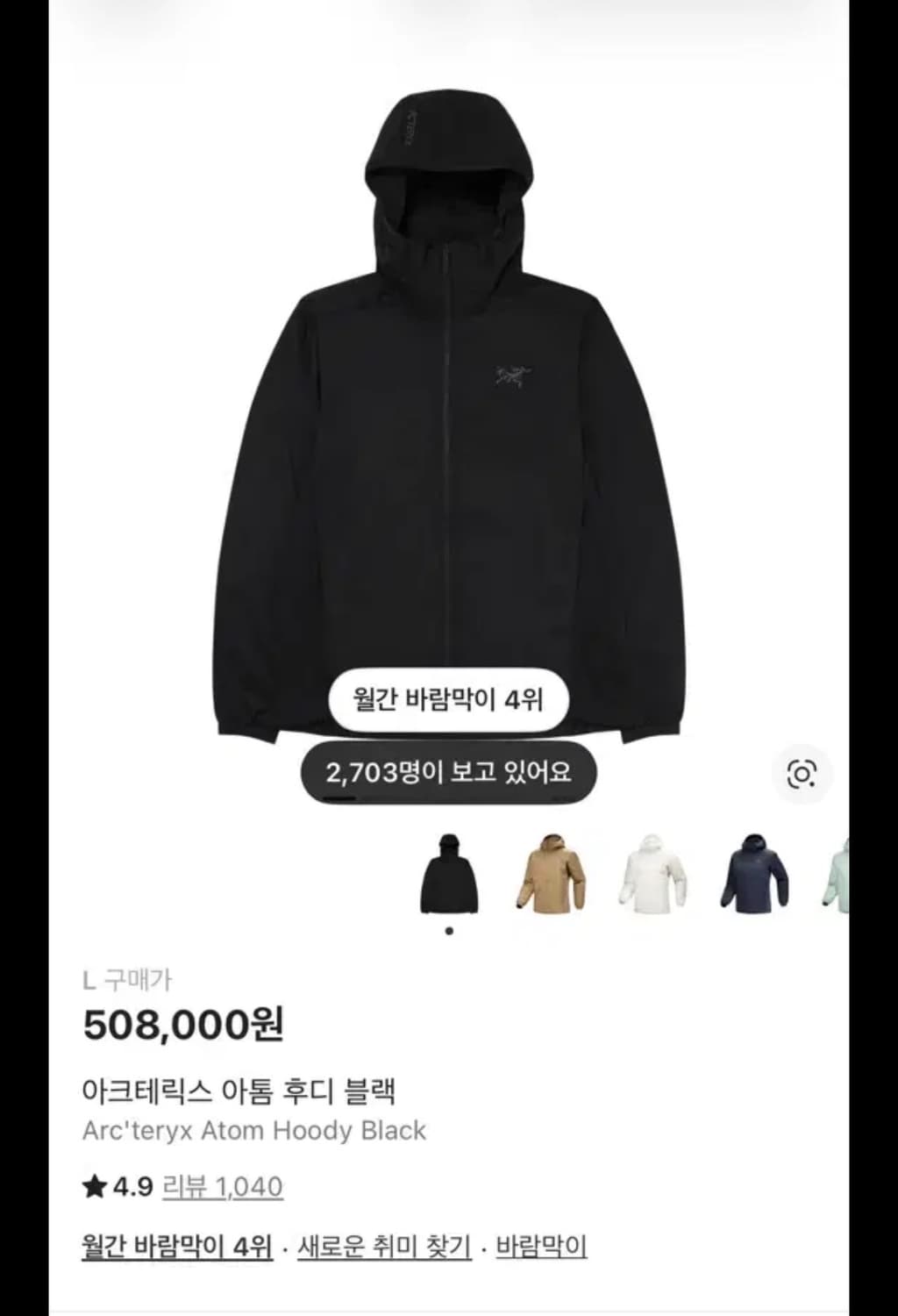 아크테릭스 아톰후디L 상품이미지1