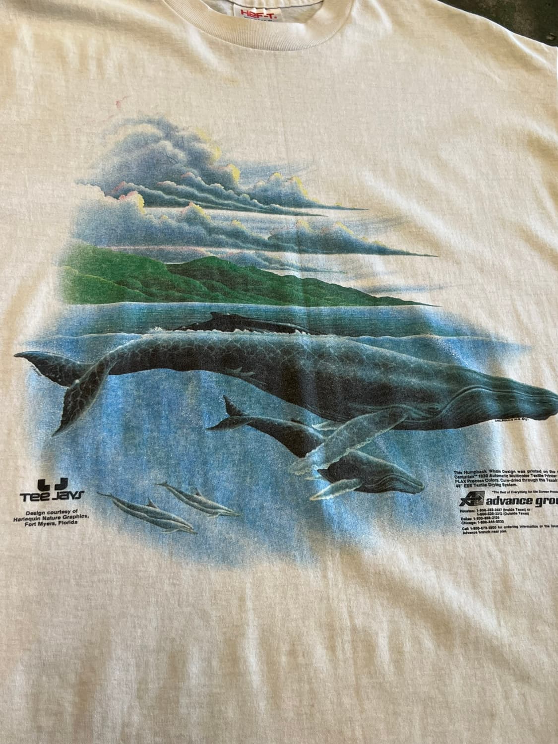 90's [XL] 빈티지 반팔티 고래 그래픽 싱글스티치 Tee Jays 상품이미지4