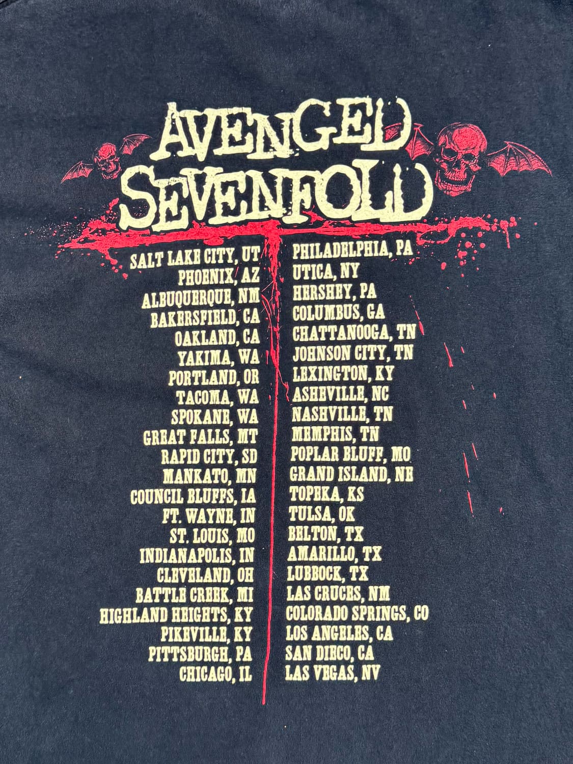 Avenged Sevenfold – Death Will Rise Agai 상품이미지9