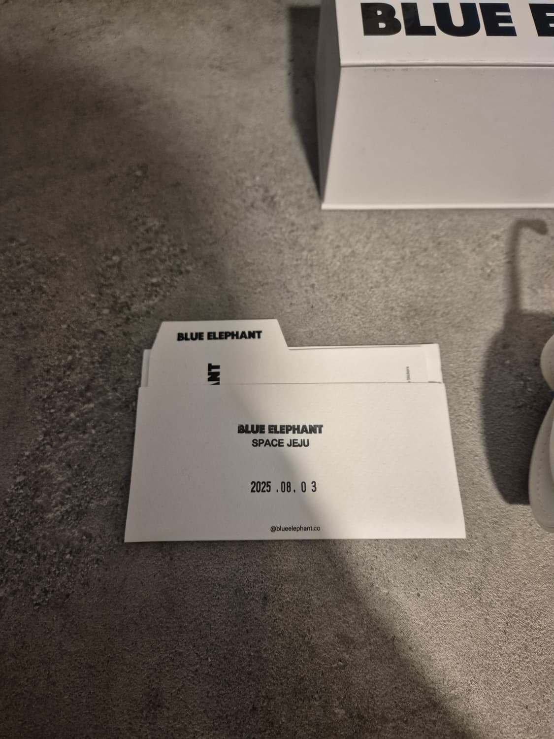 BLUE ELEPHANT 선글라스 풀박스 상품이미지4