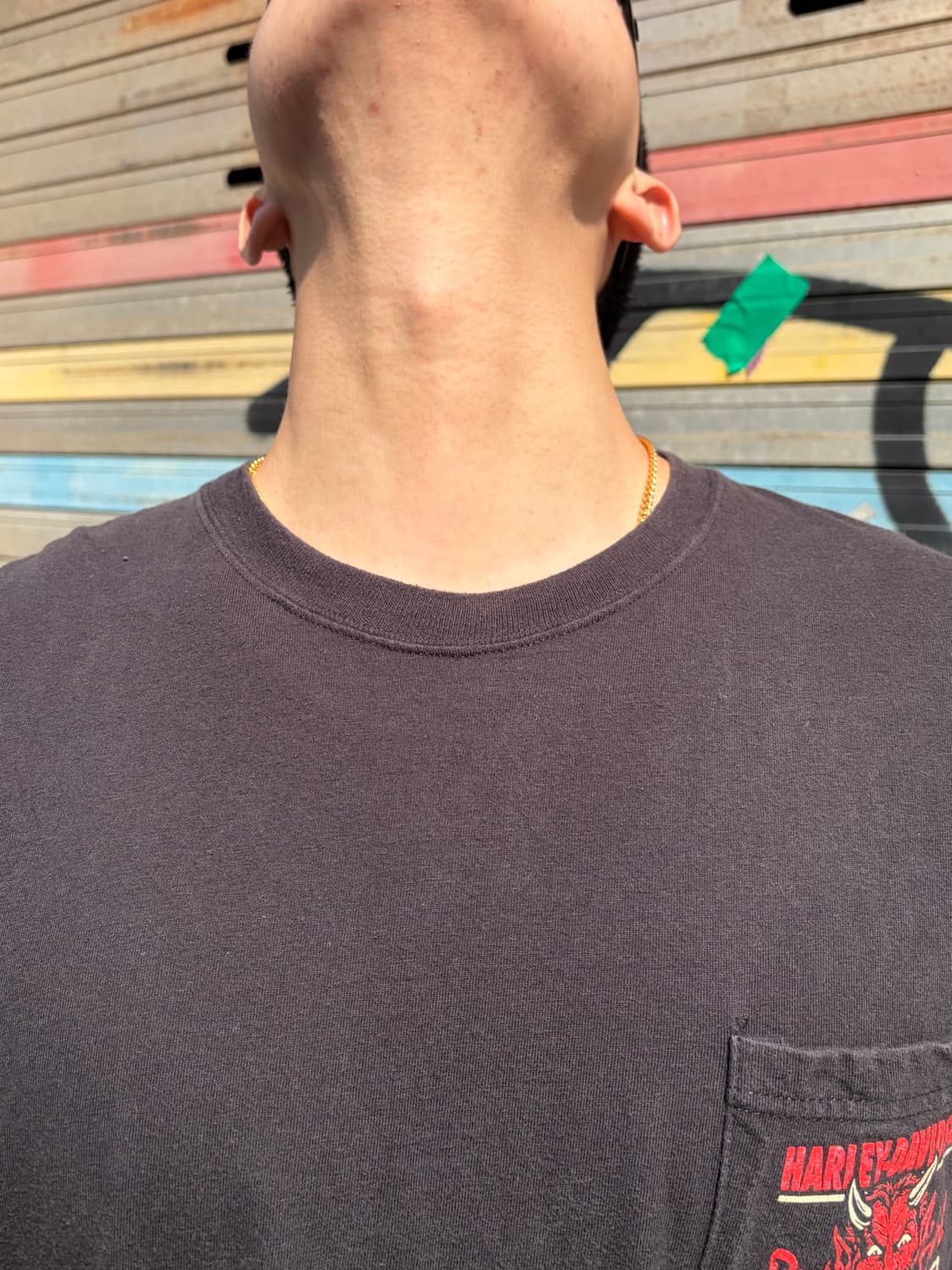 00’s Harley Davidson Valley Forgue faded 상품이미지7