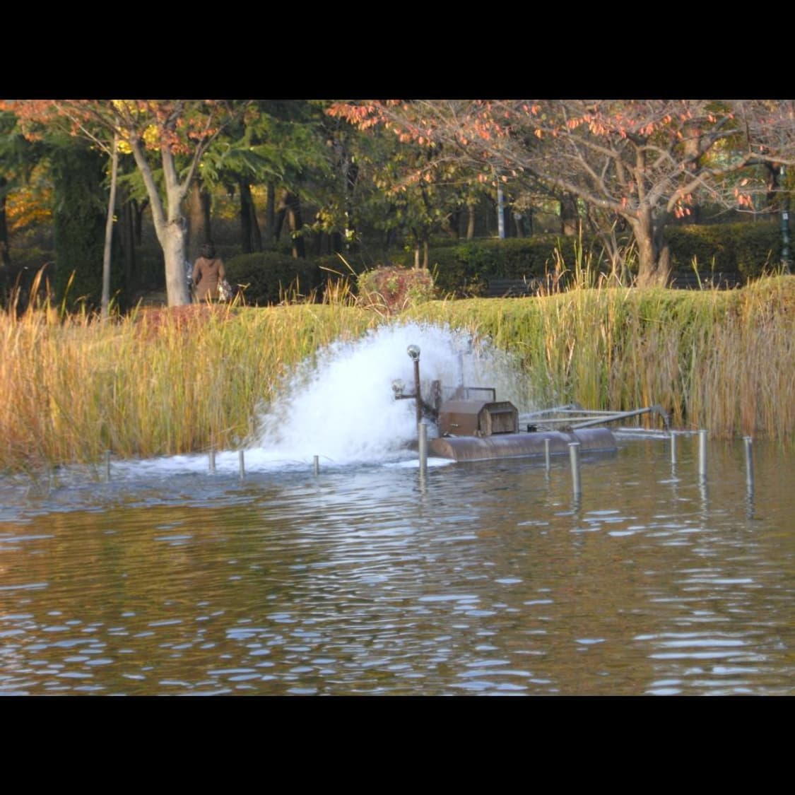 작례⭕️ 히타치 HDC-1241 + 박스  메탈릭 실버✨ 상품이미지8