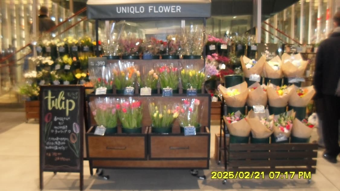 Samsung VLUU ES55 상품이미지5