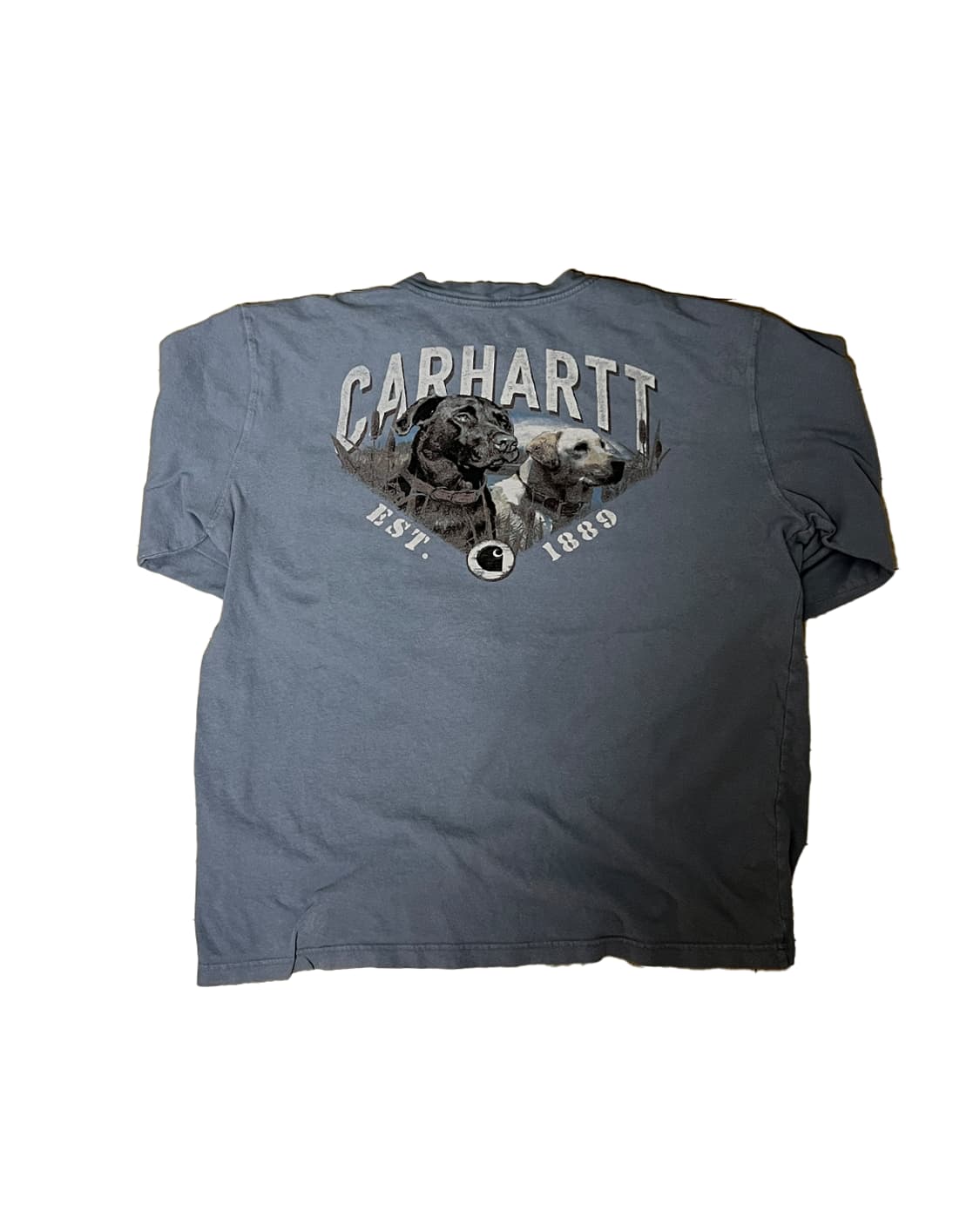Carhartt Dogs Longsleeve (Skyblue , L)

 상품이미지1