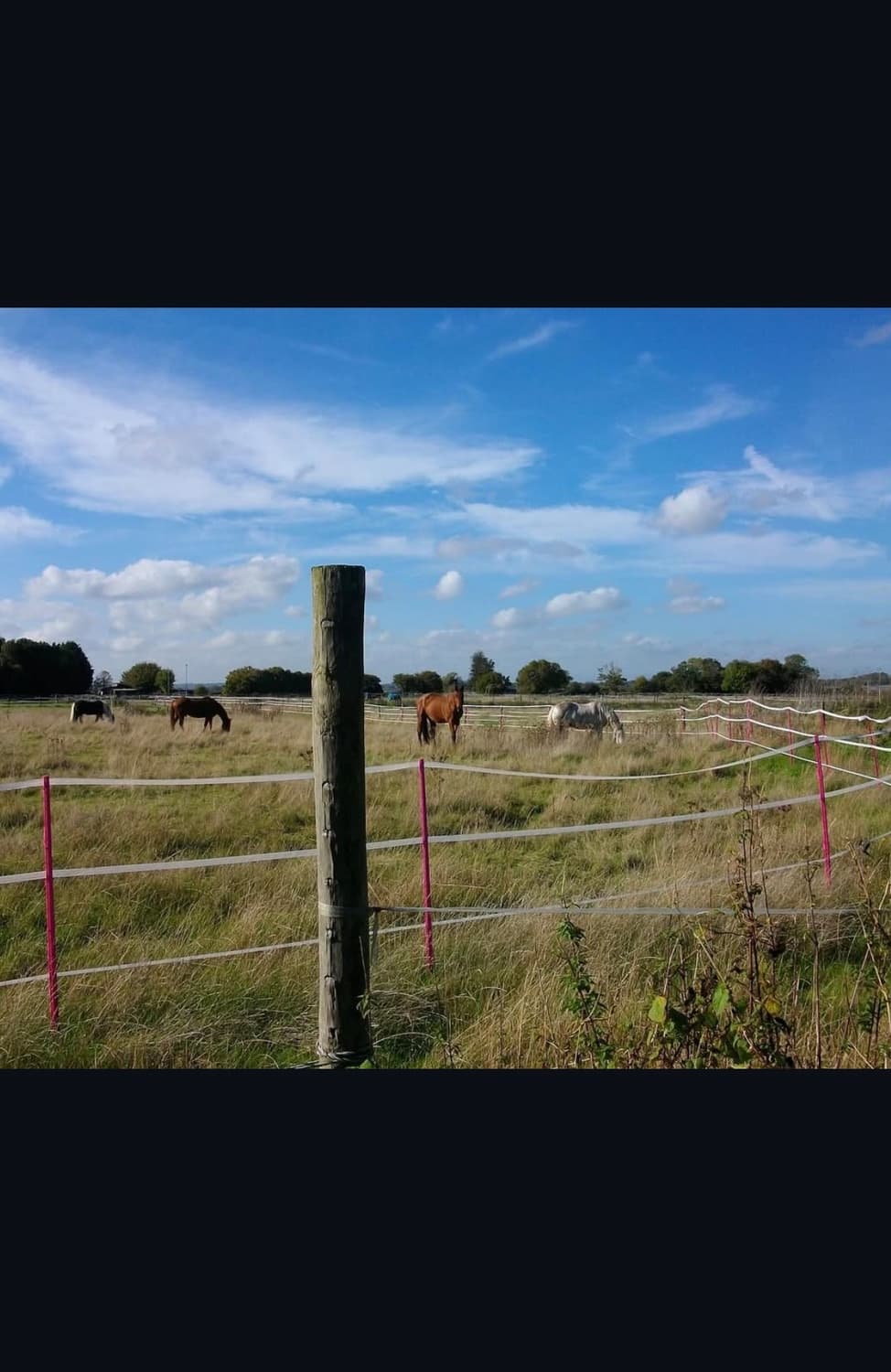 펜탁스 옵티오 s 디지털카메라 상품이미지10