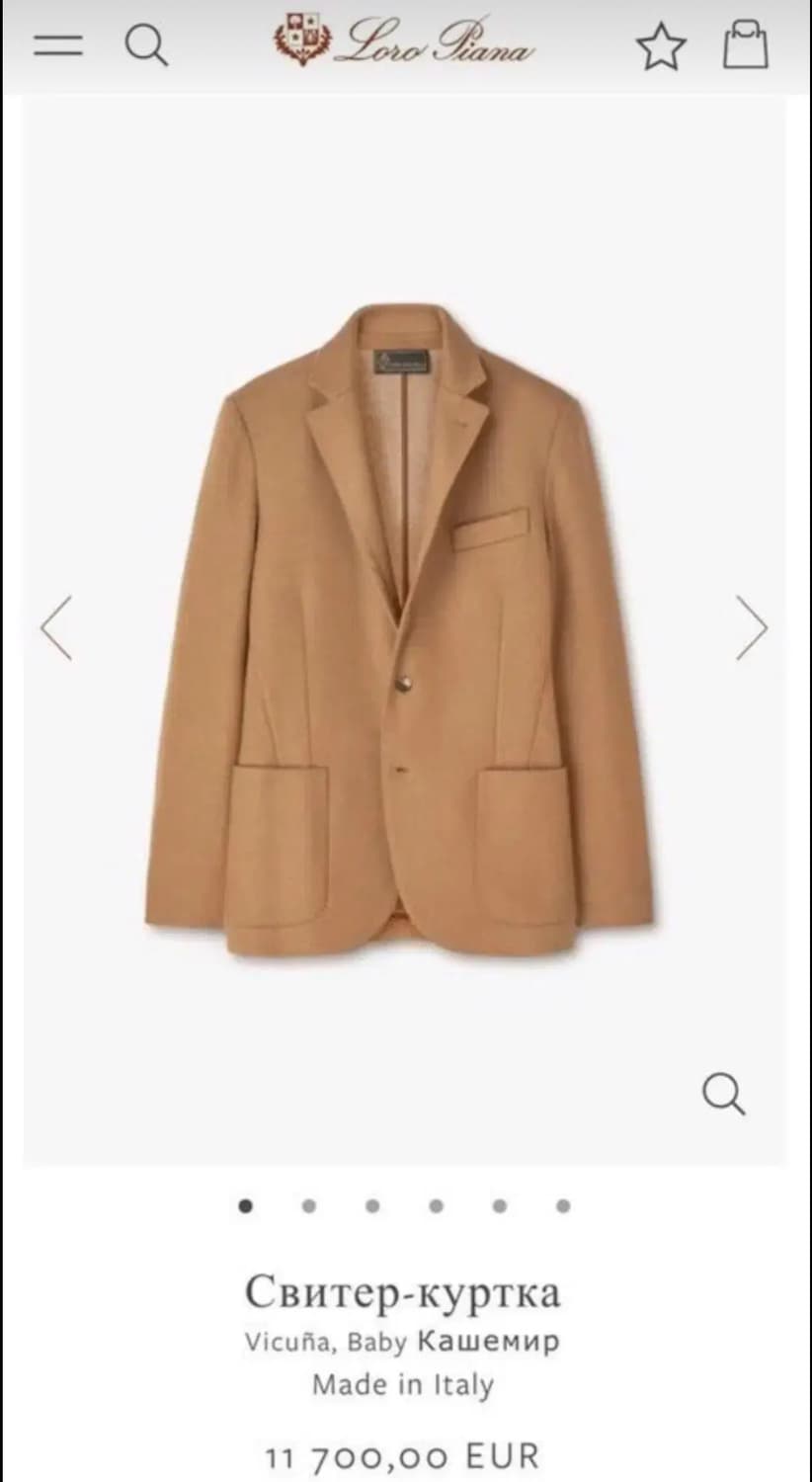 로로 피아나 싱글재킷(비쿠냐-페루/베이비 캐시미어)해외발송 상품이미지9