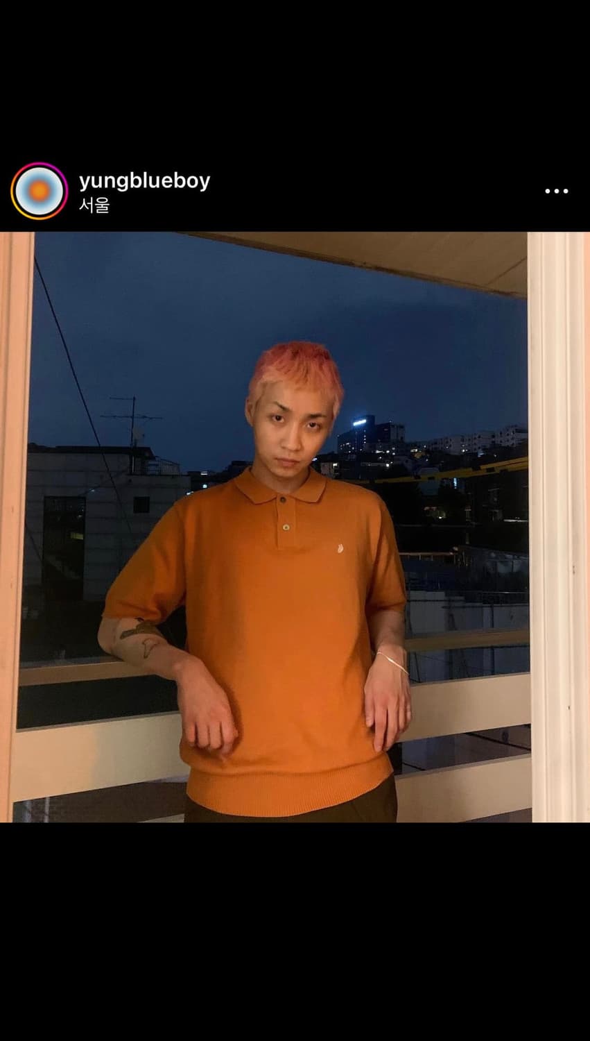 스투시 니트 폴로 반팔 상품이미지2