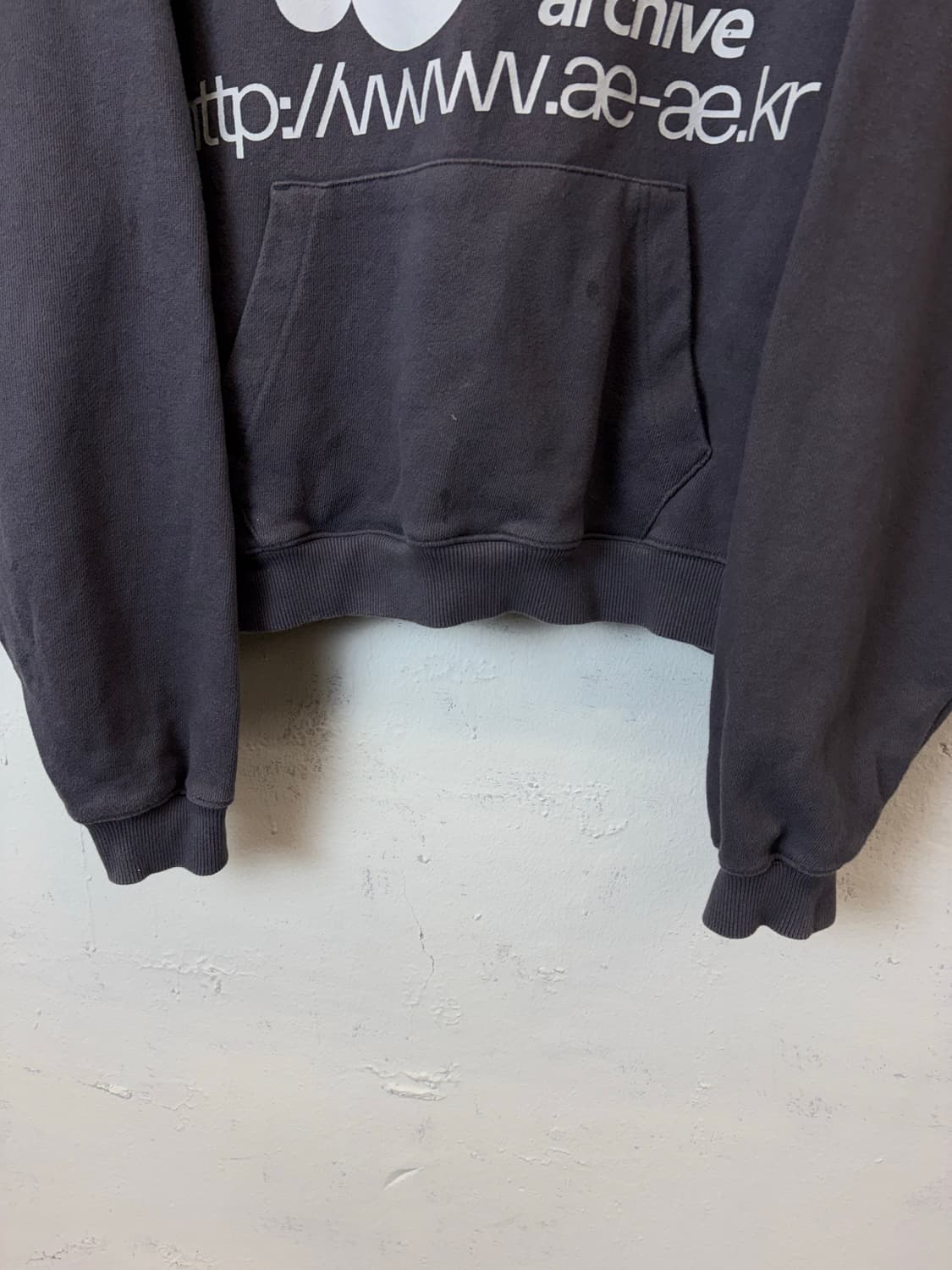 aeae 웹로고 후드티 상품이미지3