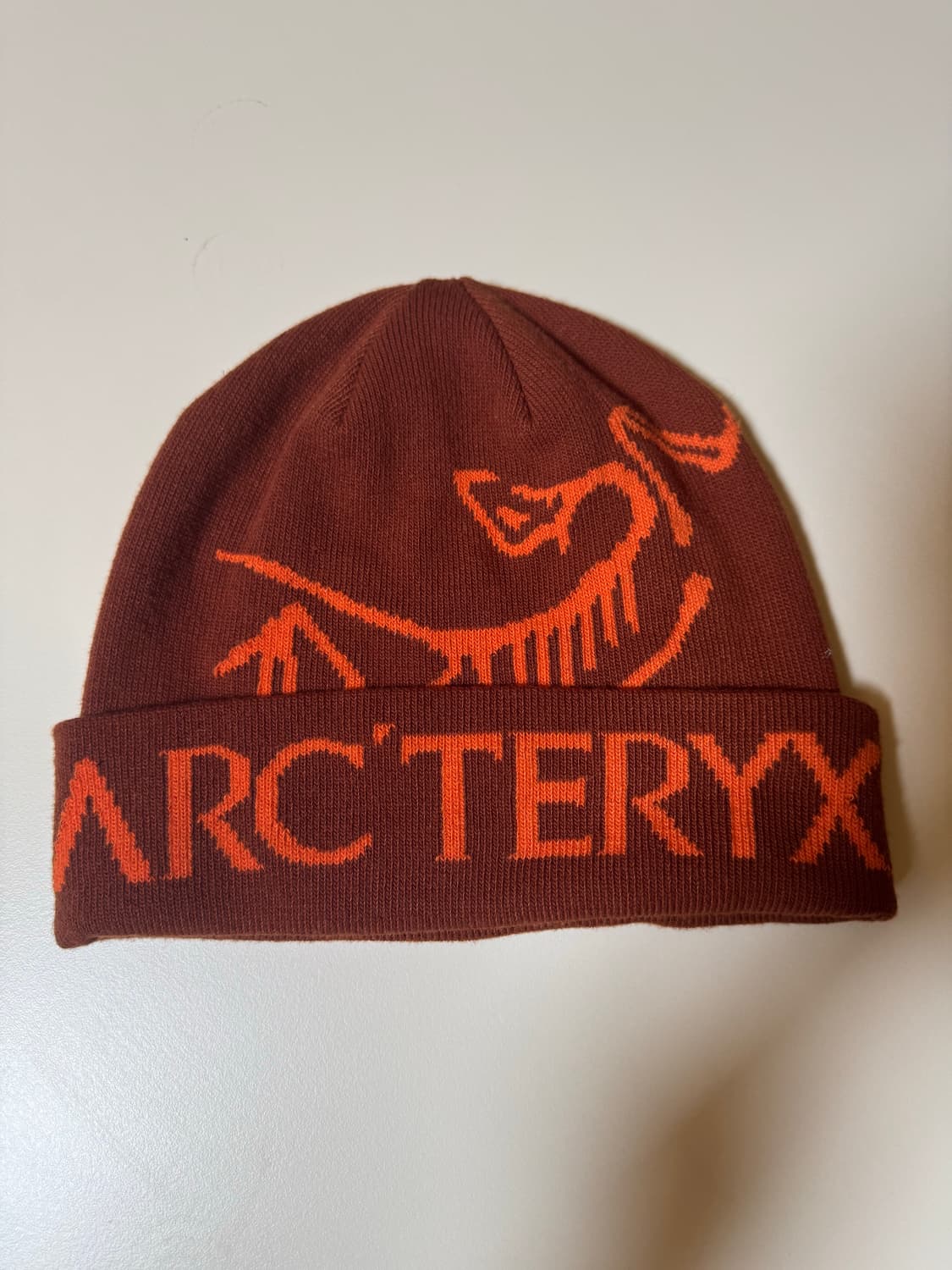 아크테릭스 비니 상품이미지1