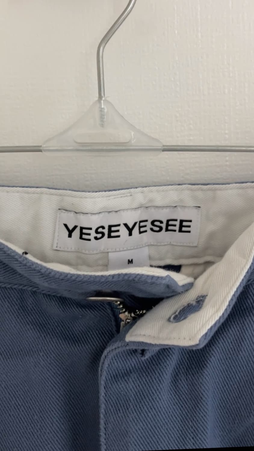 YESEYESEE 핀턱 팬츠 상품이미지6