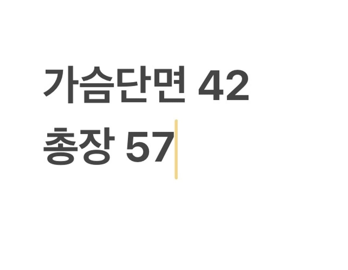 폴로진스 랄프로렌 스트라이프 카라티 상품이미지6
