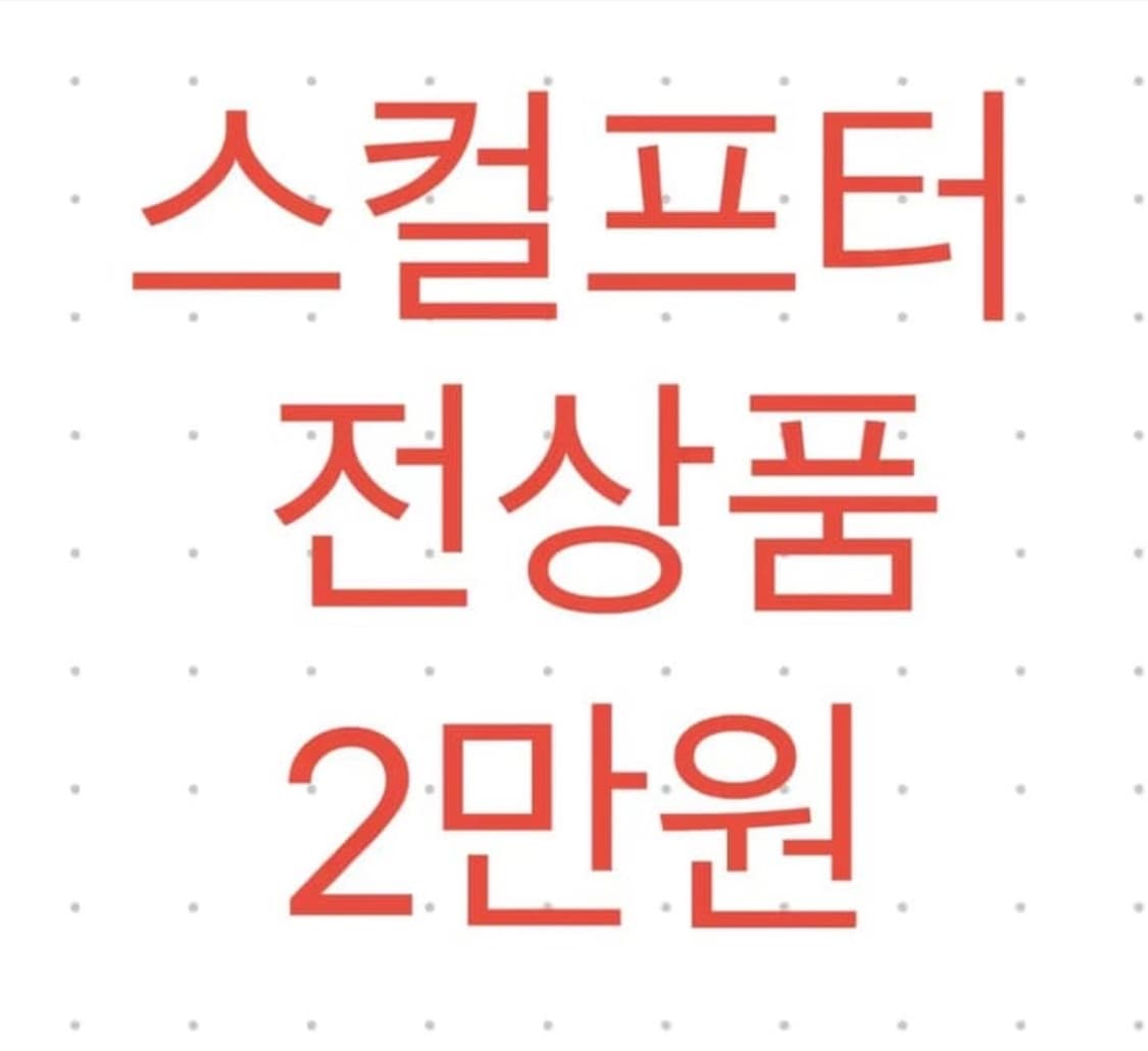 스컬프터 새상품 한벌에 2만원 상품이미지1