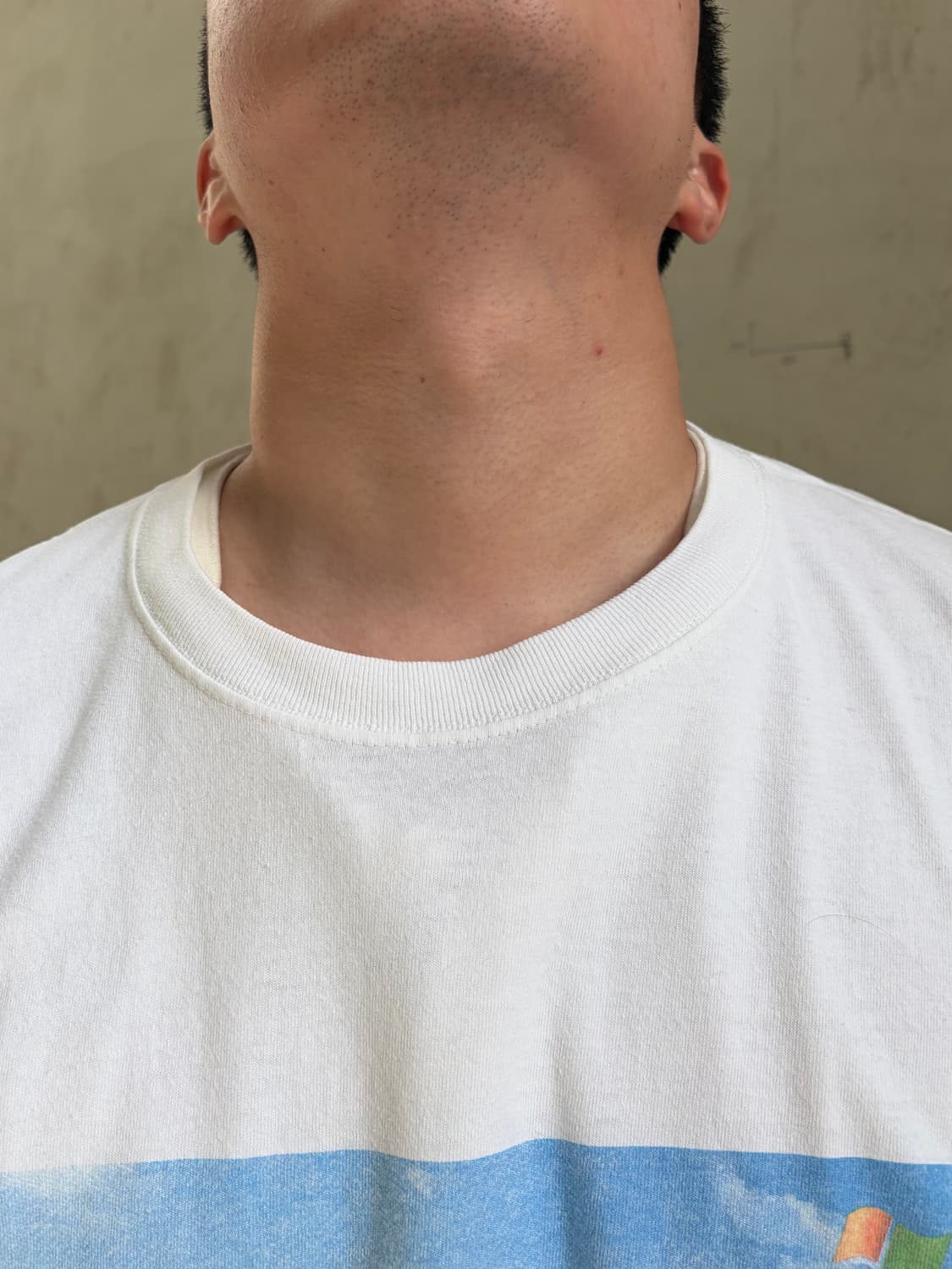 00’s Microsoft Windows bliss XP desktop  상품이미지4