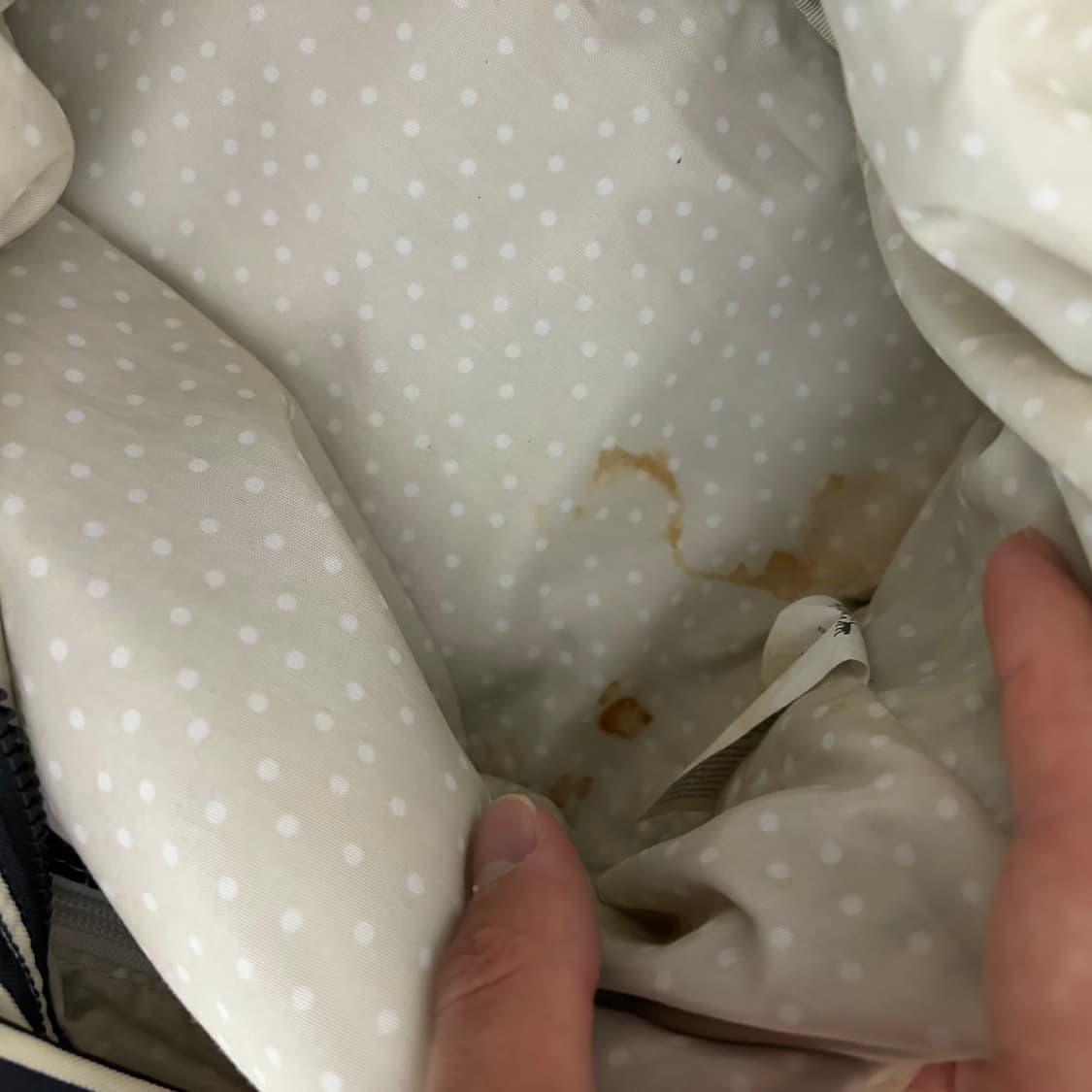 키플링 스트라이프 토트백 상품이미지9