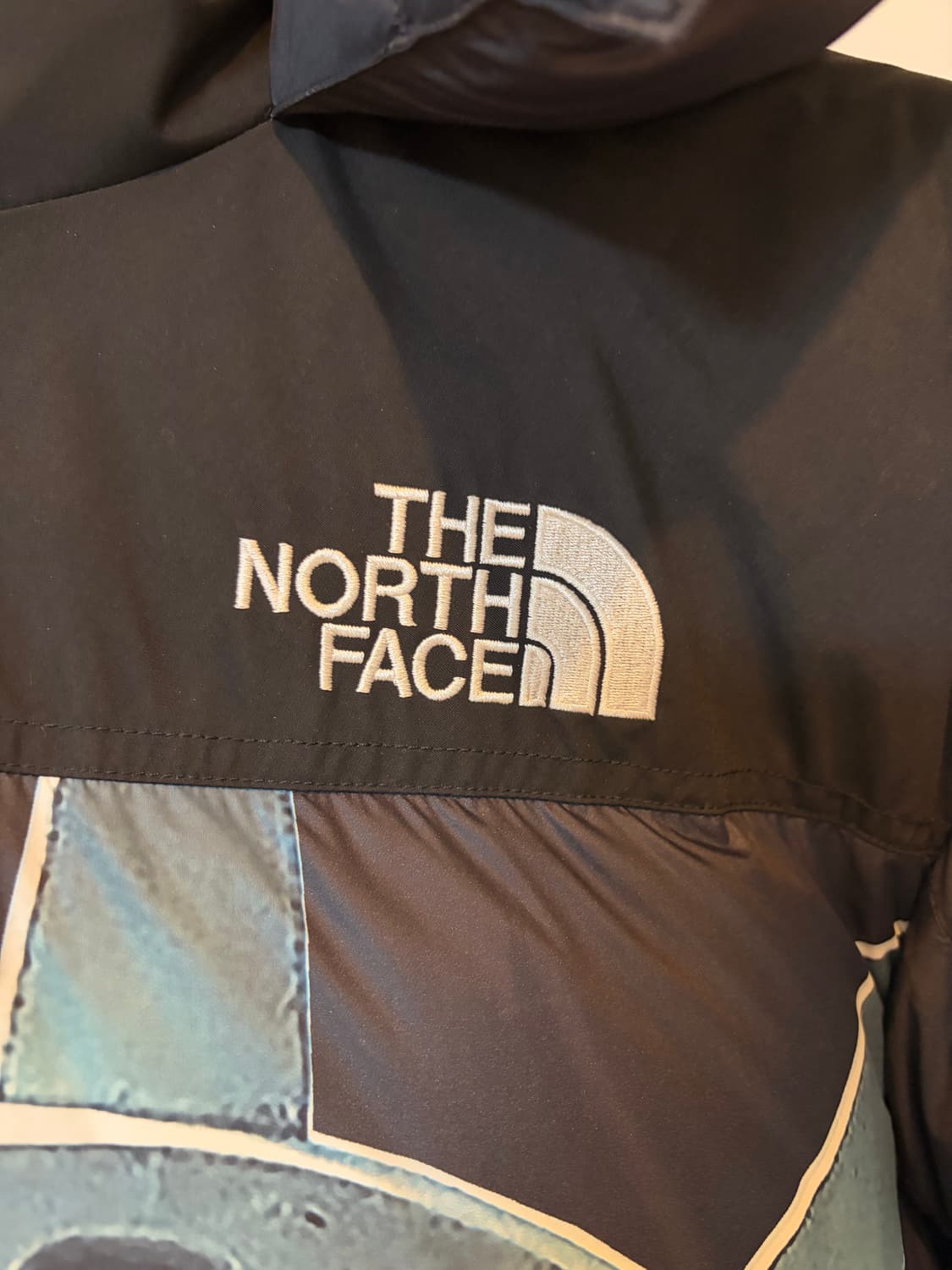 슈프림 노스페이스 자유의 여신상 발토로 패딩 상품이미지3