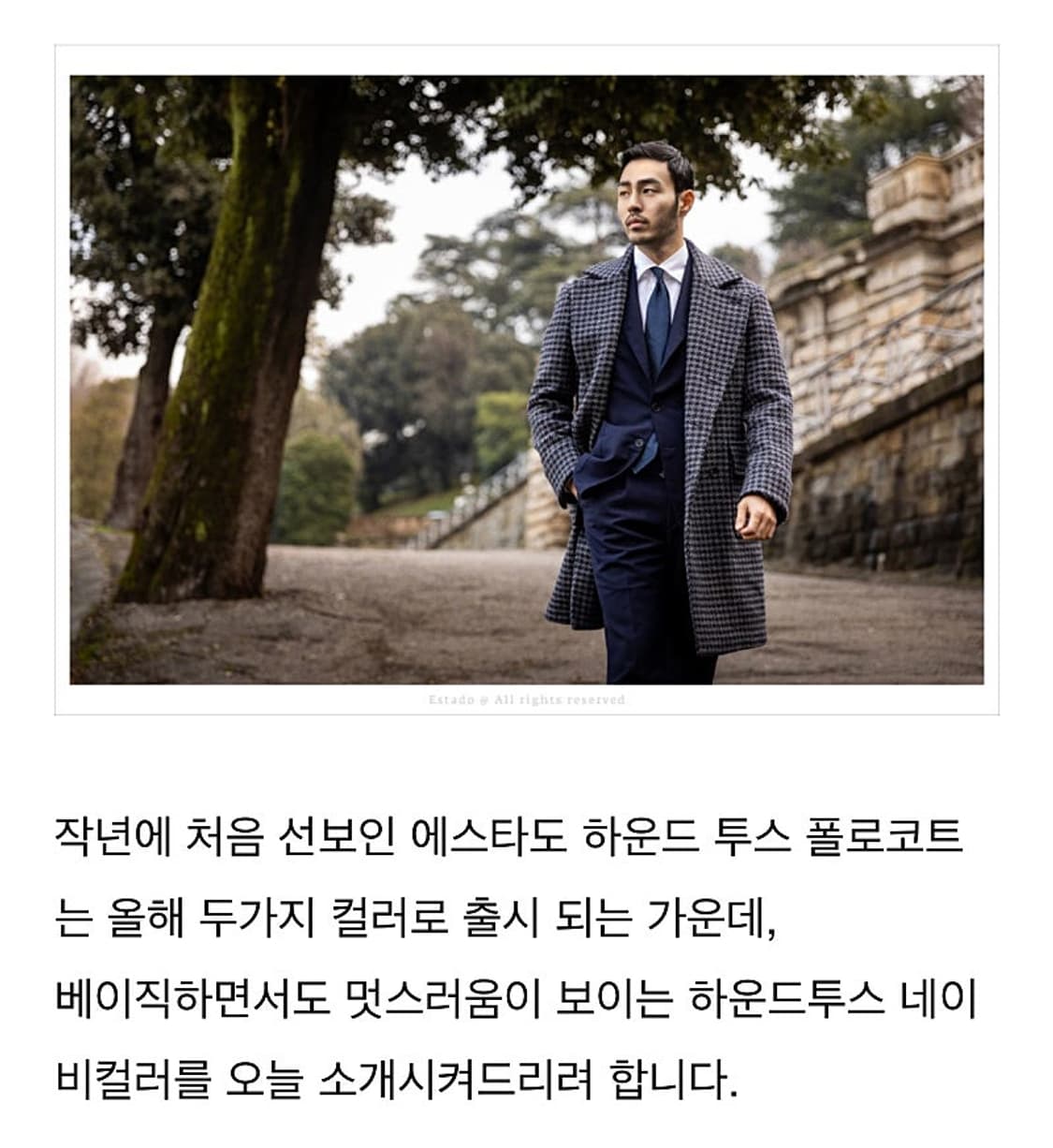 100) 에스타도 로밧 하운드 폴로코트 상품이미지9