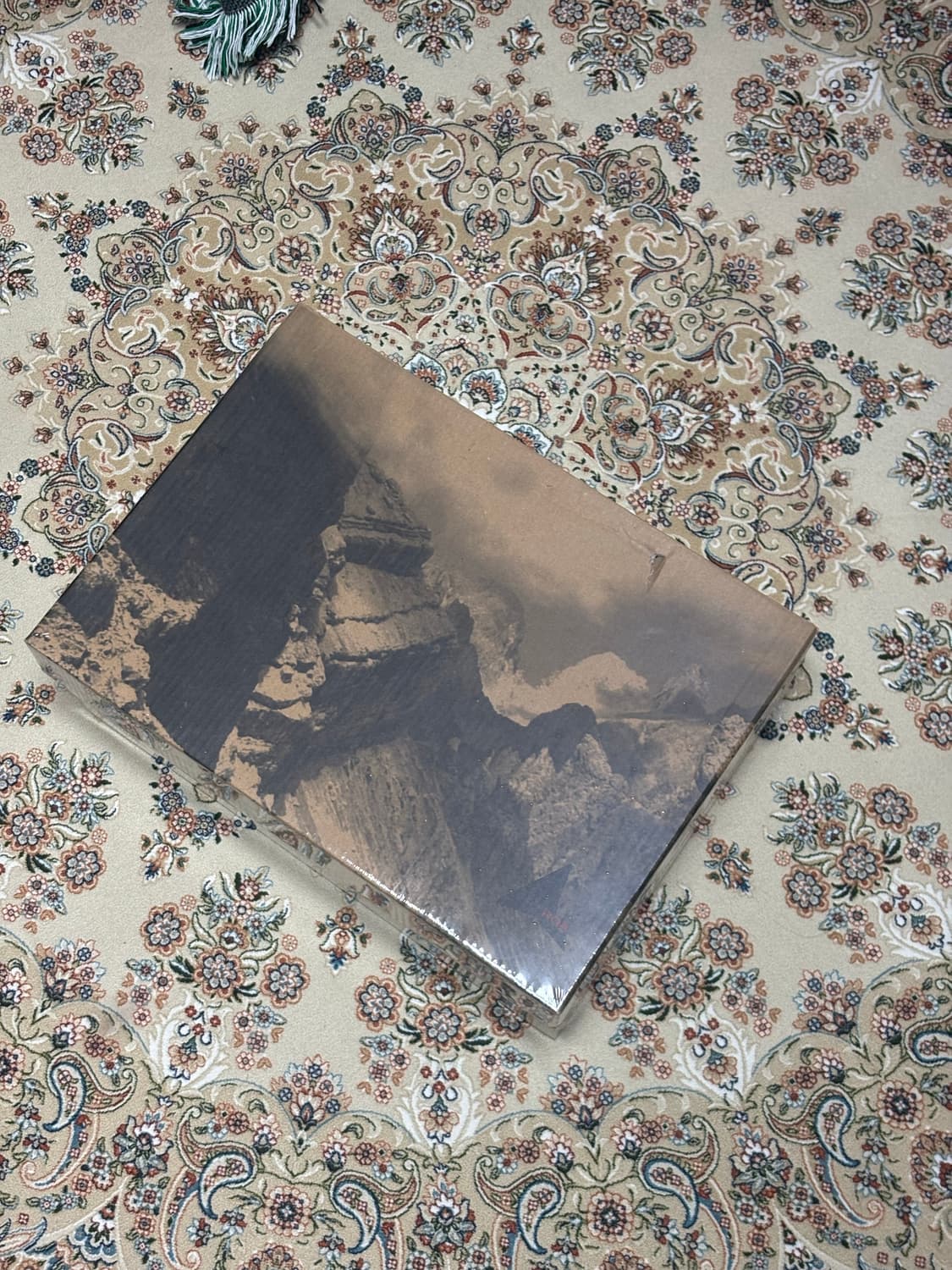 Roa 셀라 사이즈 교환 43 -> 42 상품이미지2