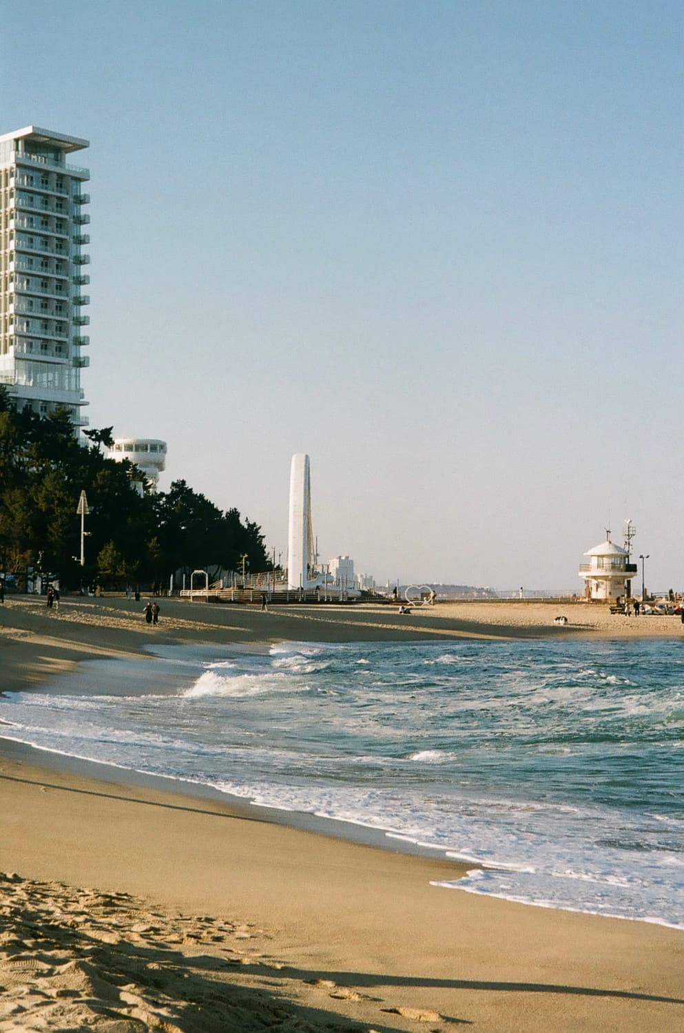 캐논 오토보이 N130 필름카메라 상품이미지4