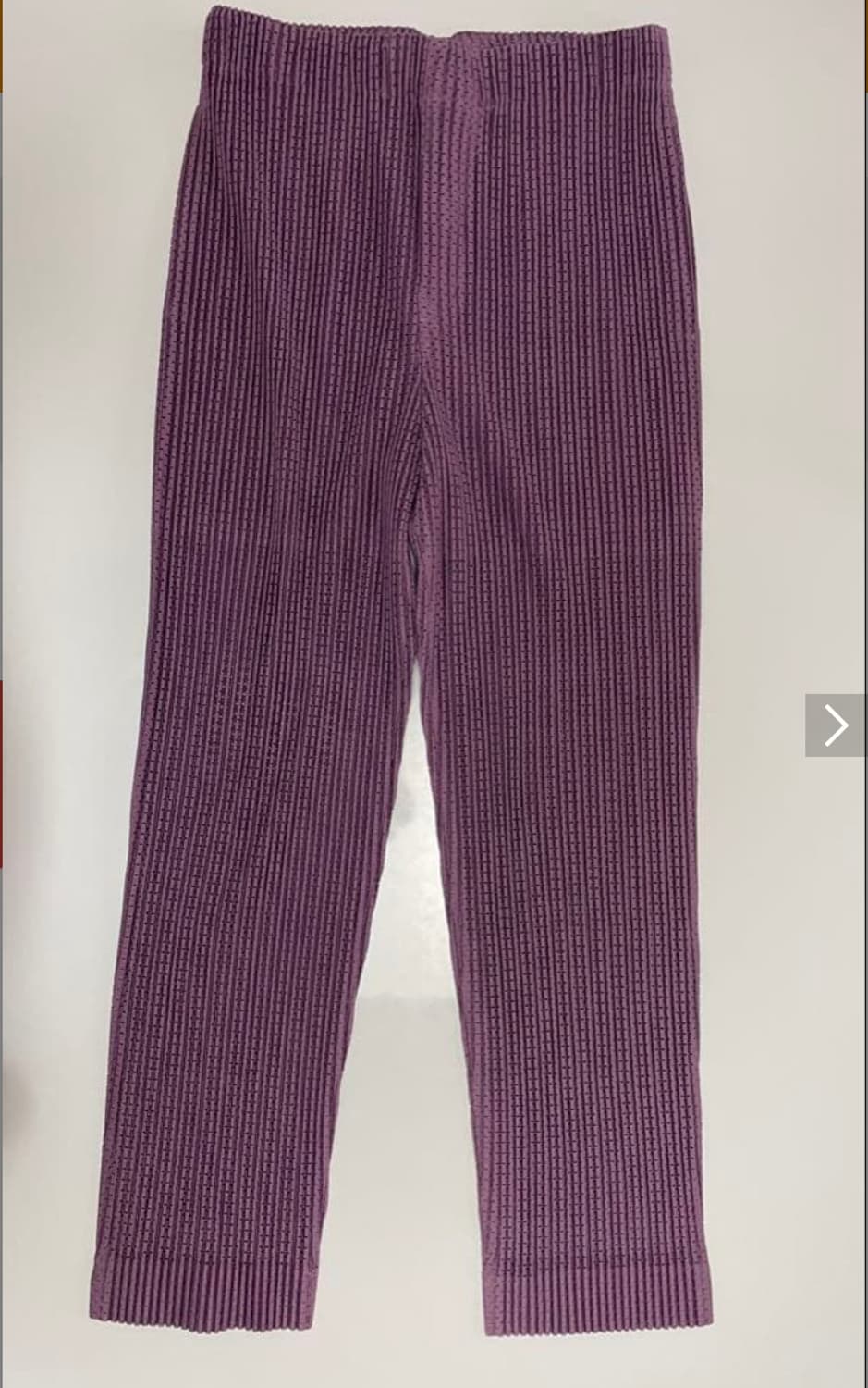 옴므플리세 퍼플 메쉬팬츠 상품이미지1