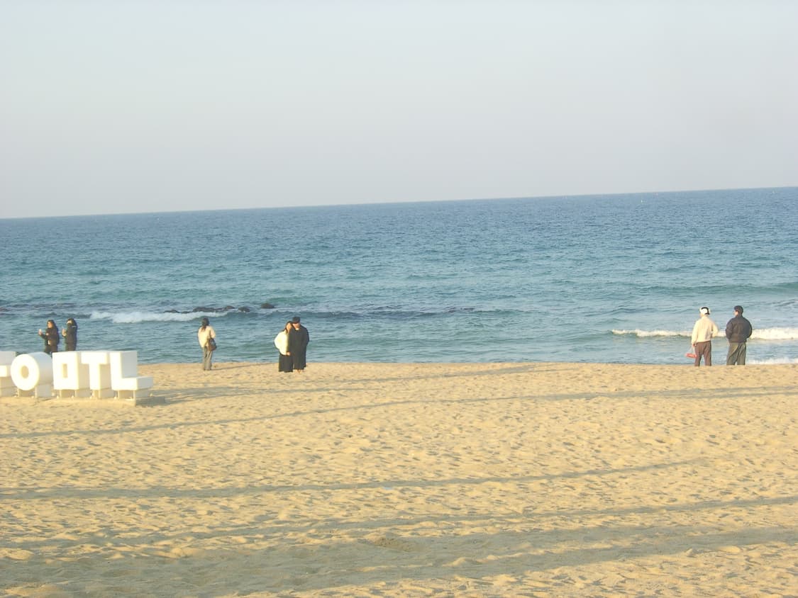 삼성 케녹스 a5 디지털카메라 (작례O) 상품이미지8