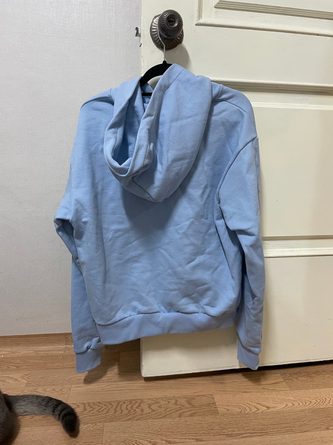 제스픽션 온리캣츠 후드집업 상품이미지4