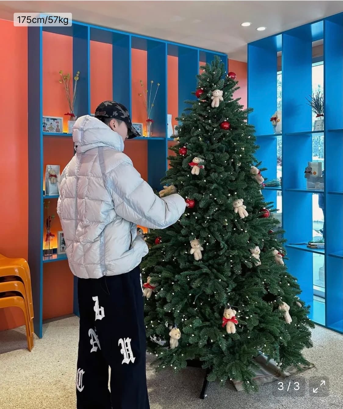 스키즘인듀싱 패딩 SHEER DOWN JACKET ECRU 상품이미지5