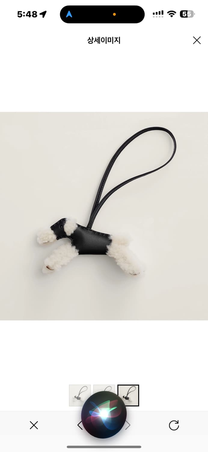 에르메스 버디 상품이미지2