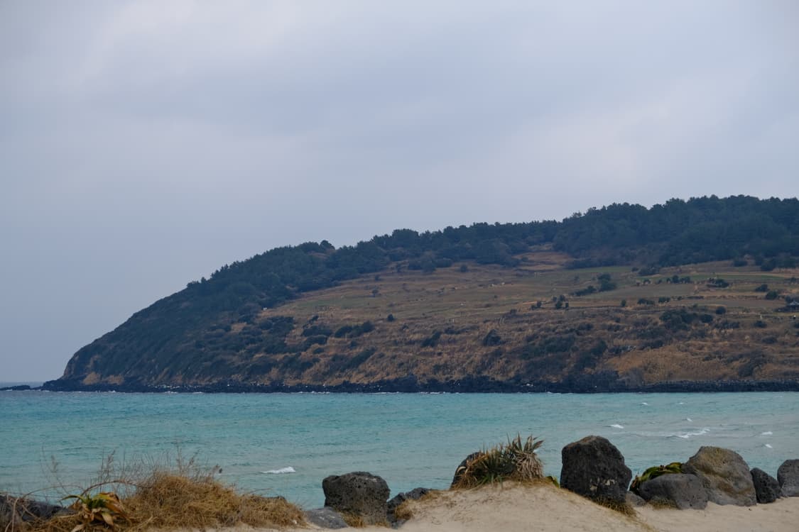 FUjifilm 후지필름 X-S10 XF18-55 렌즈킷 풀박스 상품이미지10