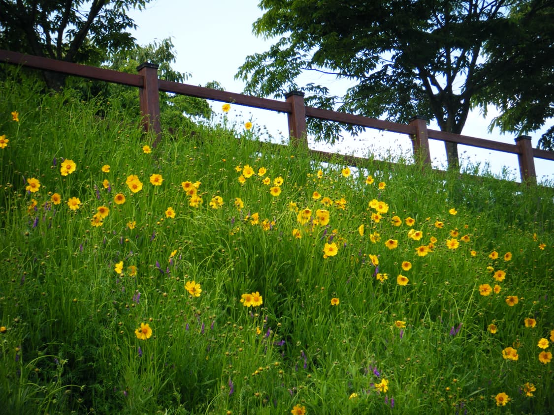 파인픽스 Z30 상품이미지6