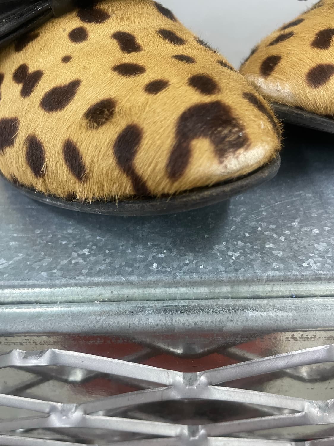 프라다 애니멀 프린트 로퍼 36.5 상품이미지8