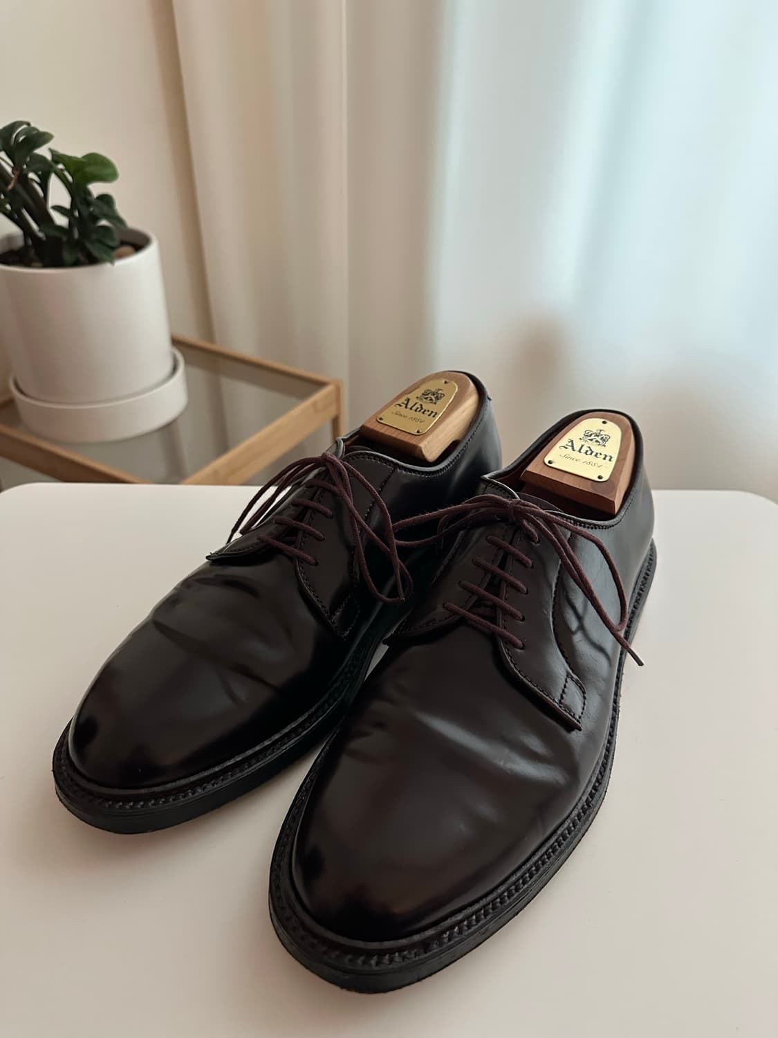 알든 990 8.5D 코도반 상품이미지2