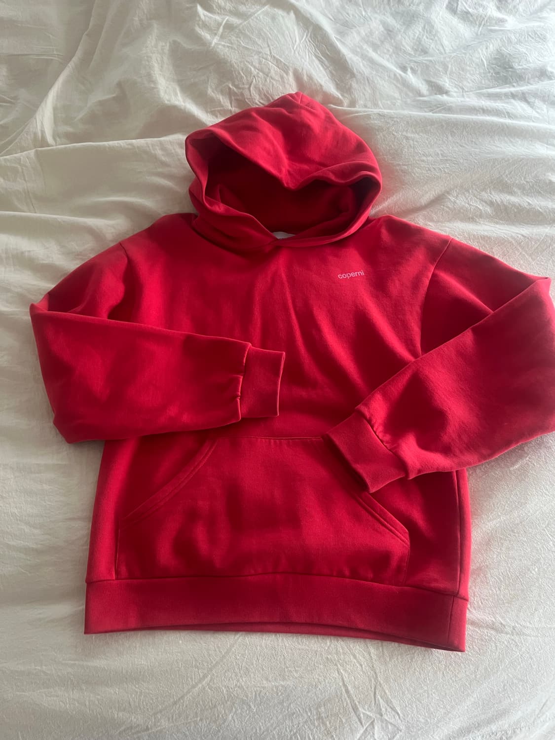 Coperni코페르니 기모 후드티 상품이미지1