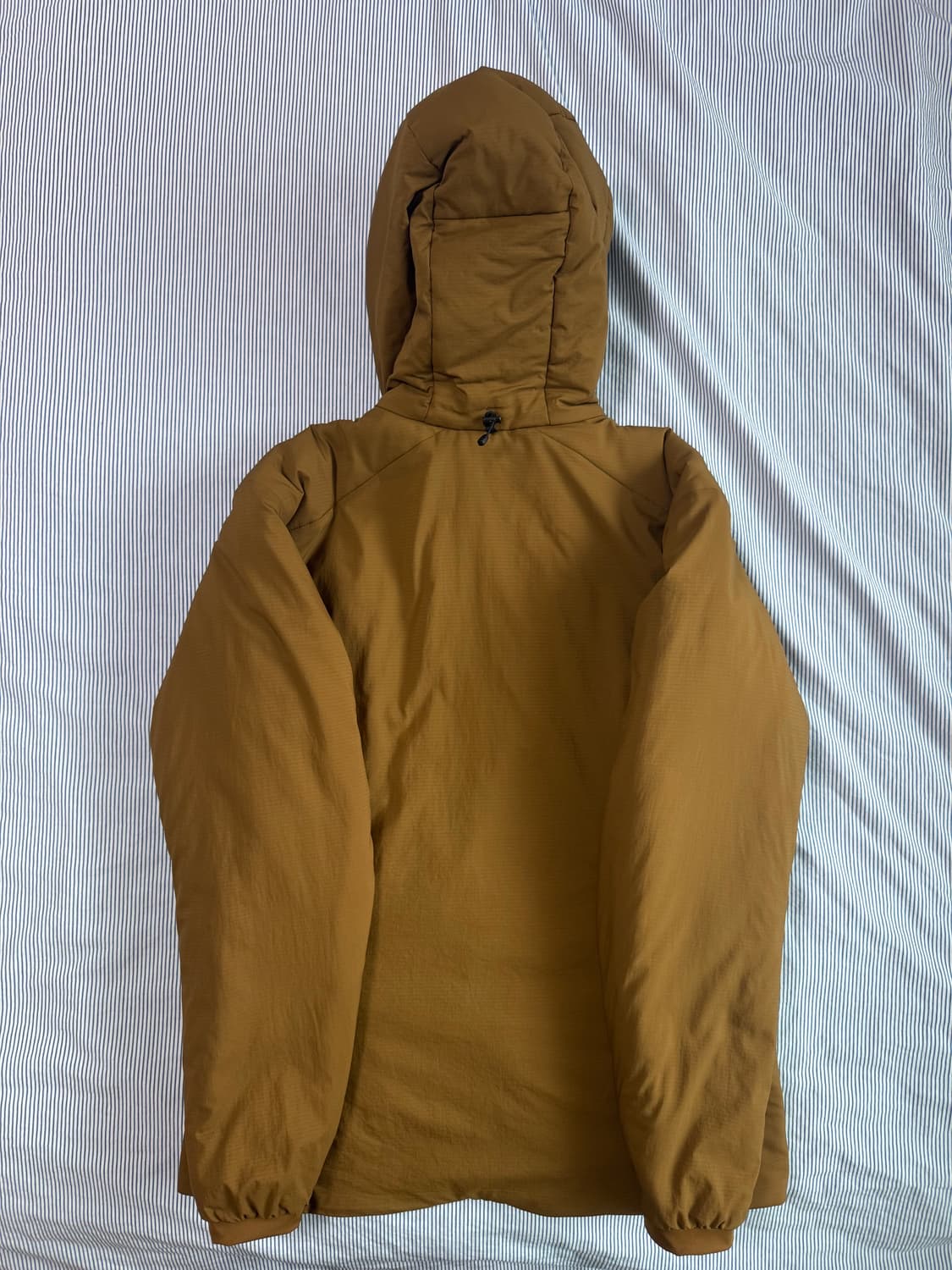 (민트급) 아크테릭스 아톰 AR 후디 렐릭 M 상품이미지4