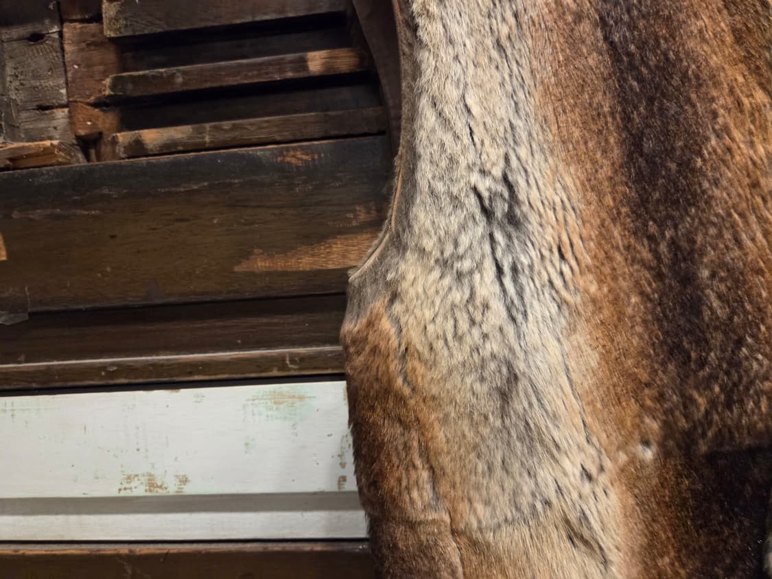 이자벨 마랑 퍼 베스트 상품이미지8