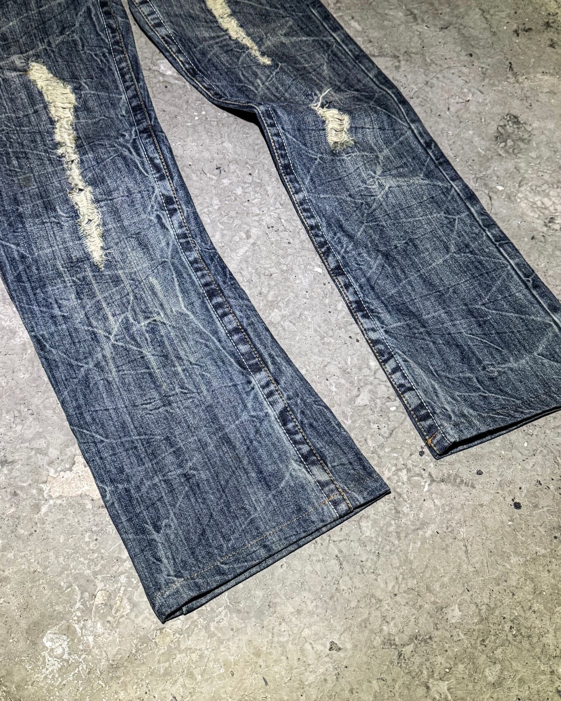 Wing Graphic Distressed Denim 상품이미지5