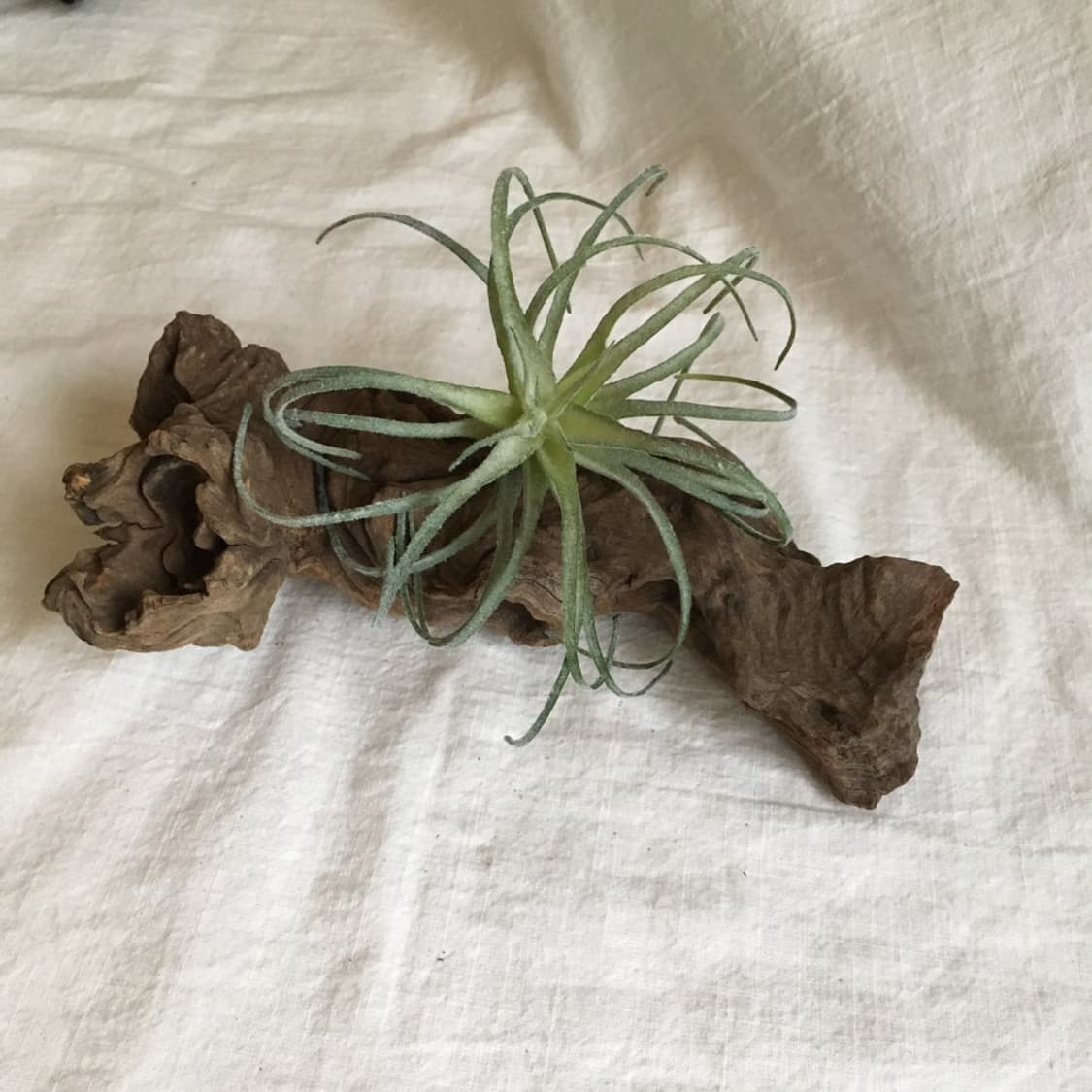 wood object 022 상품이미지2