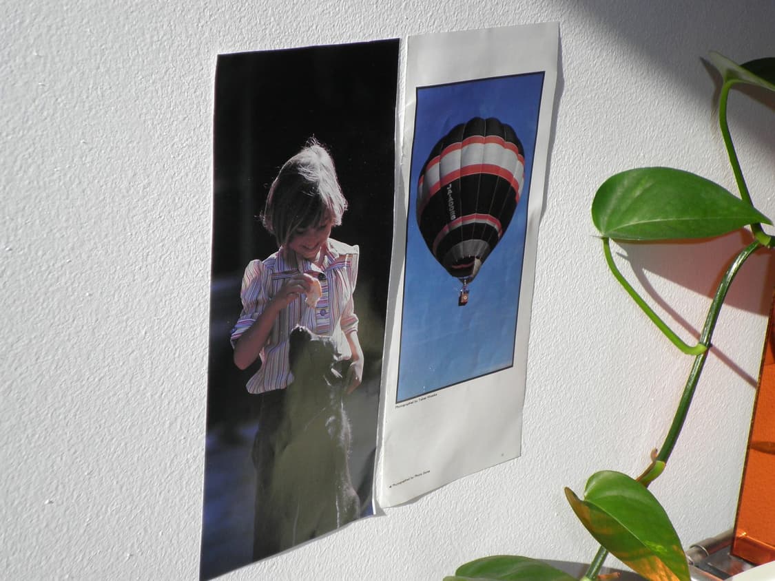 산요 DSC-X1250 샴페인 골드 🥂 빈티지 디카 디지털카메라 상품이미지8