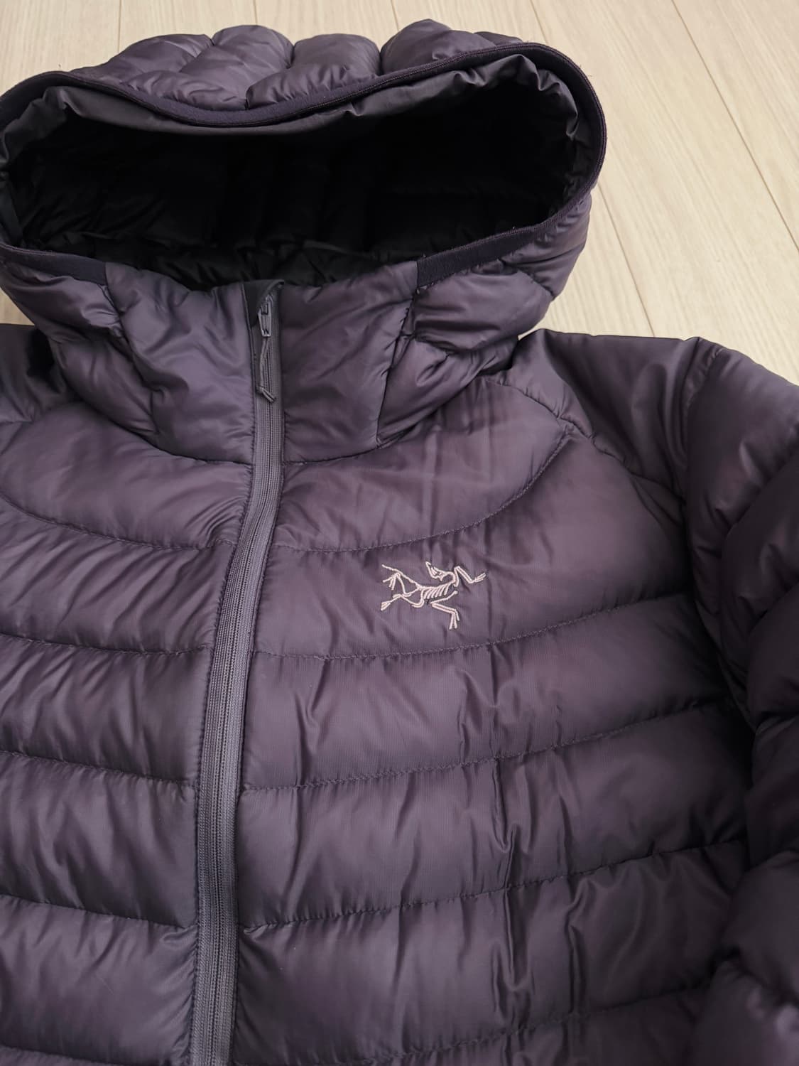 Arcteryx Cerium LT Hoody 상품이미지4
