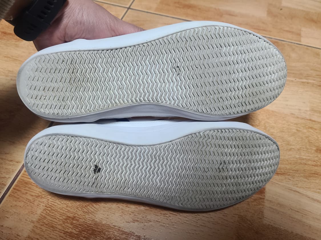 라코스테 사이드라인 270(265추천) 상품이미지6