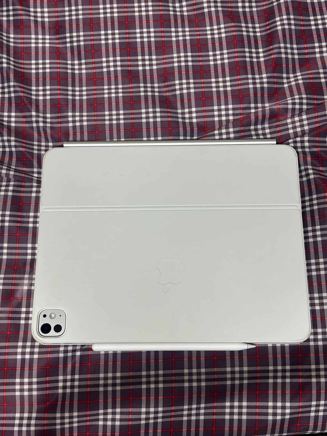 아이패드 프로 13인치 M4 1TB 셀룰러 풀세트 상품이미지6